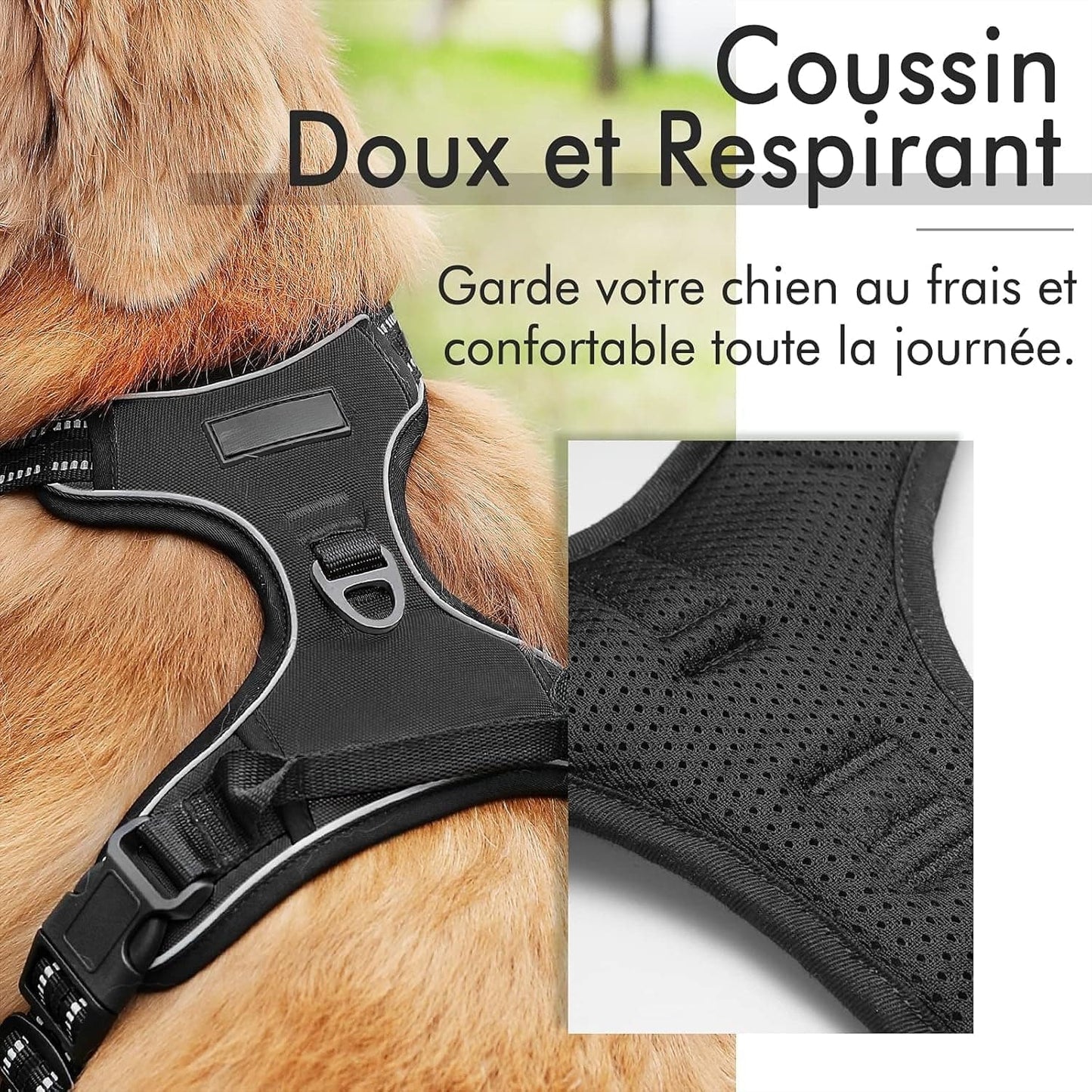 Harnais Anti-Traction pour Gros Chien - Confort et Sécurité | Happet