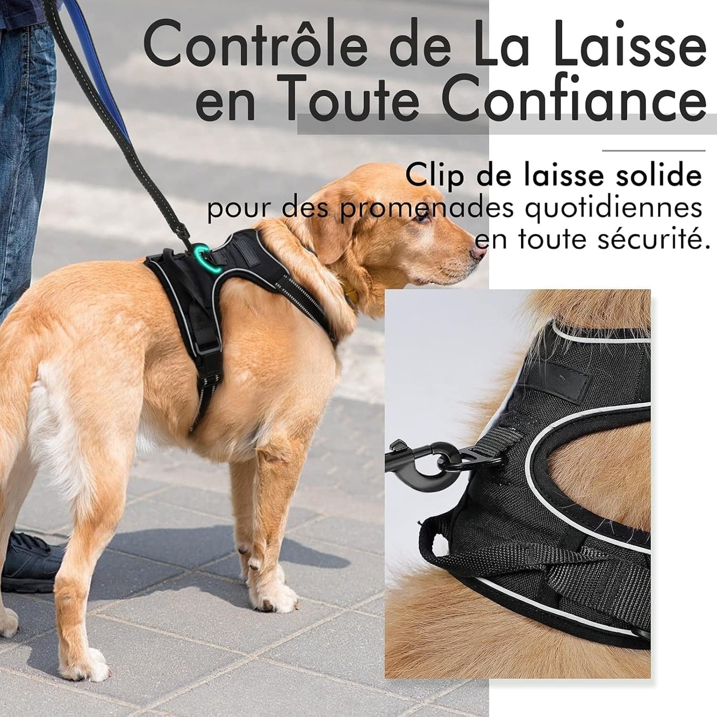 Harnais Anti-Traction pour Gros Chien - Confort et Sécurité | Happet