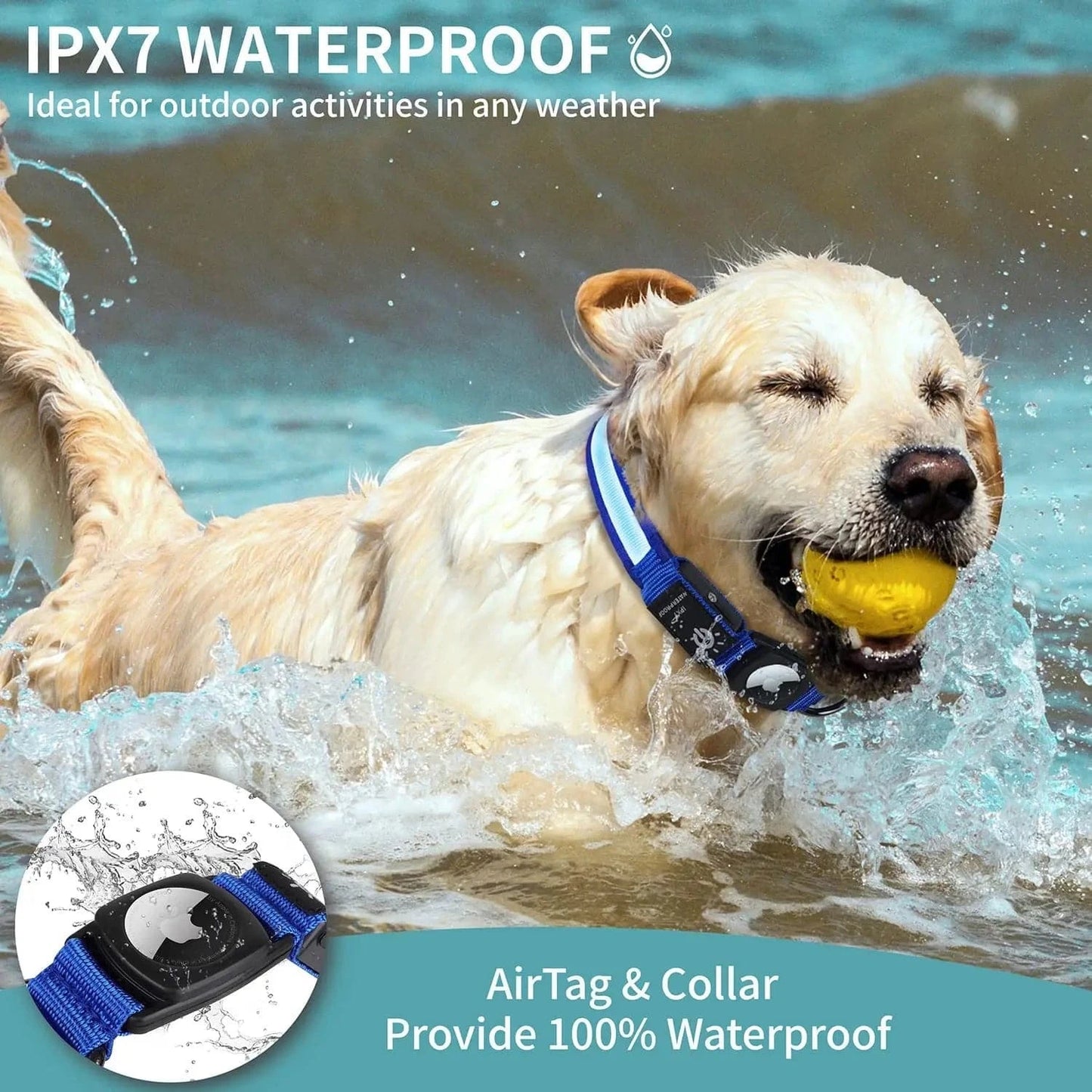 Collier GPS pour Chien Sans Abonnement - Compatible AirTag | Happet