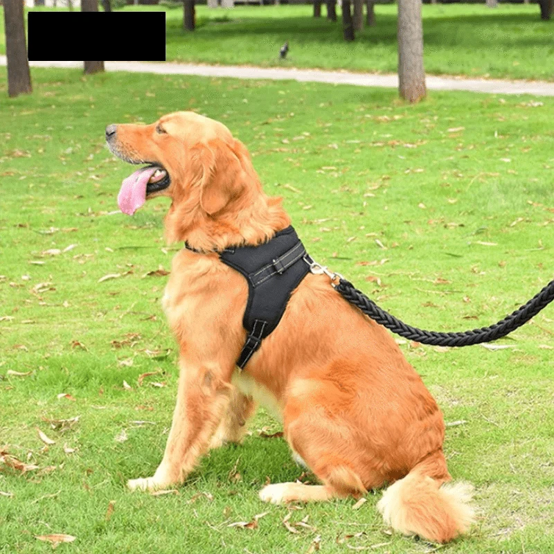 Harnais réglable et confortable pour chien avec laisse réfléchissante, respirant et ergonomique, pour petits et grands chiens