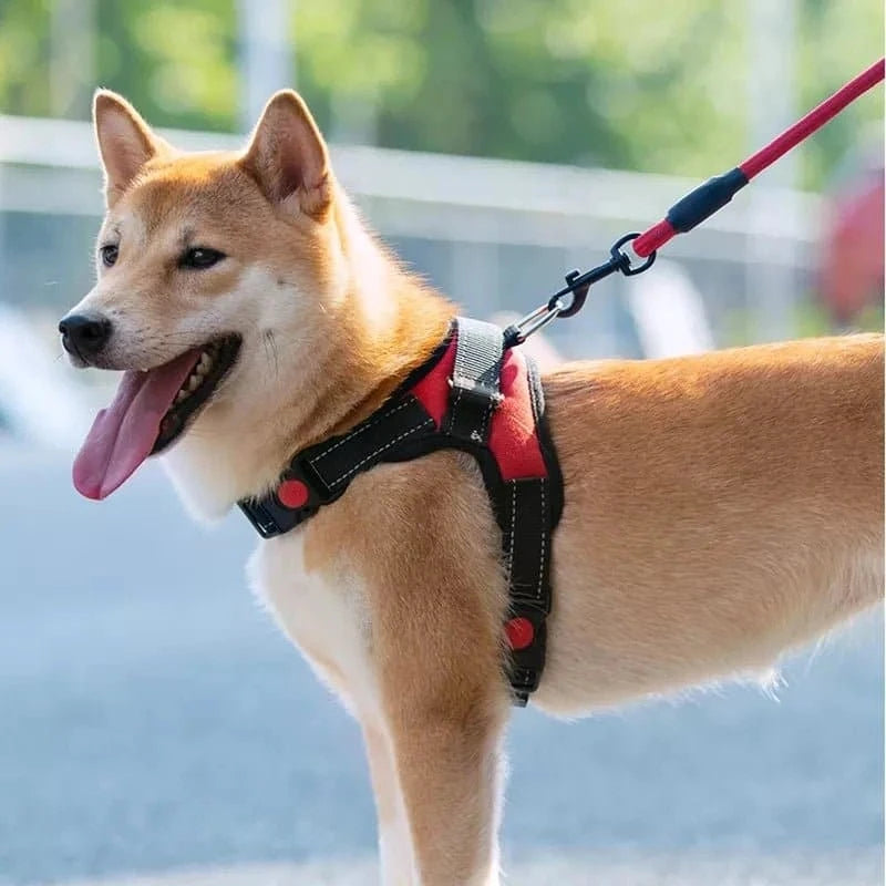 Harnais réglable et confortable pour chien avec laisse réfléchissante, respirant et ergonomique, pour petits et grands chiens