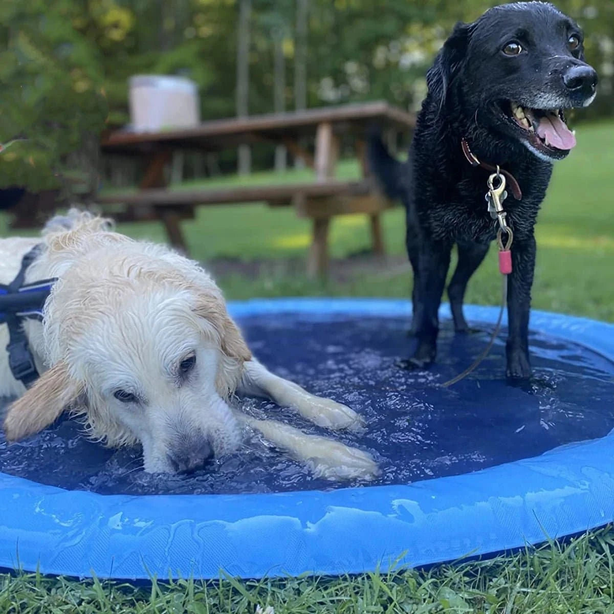 Jouet gonflable pour enfants et animaux chat et chien, offrant des jets d'eau rafraîchissants pour jouer en été.