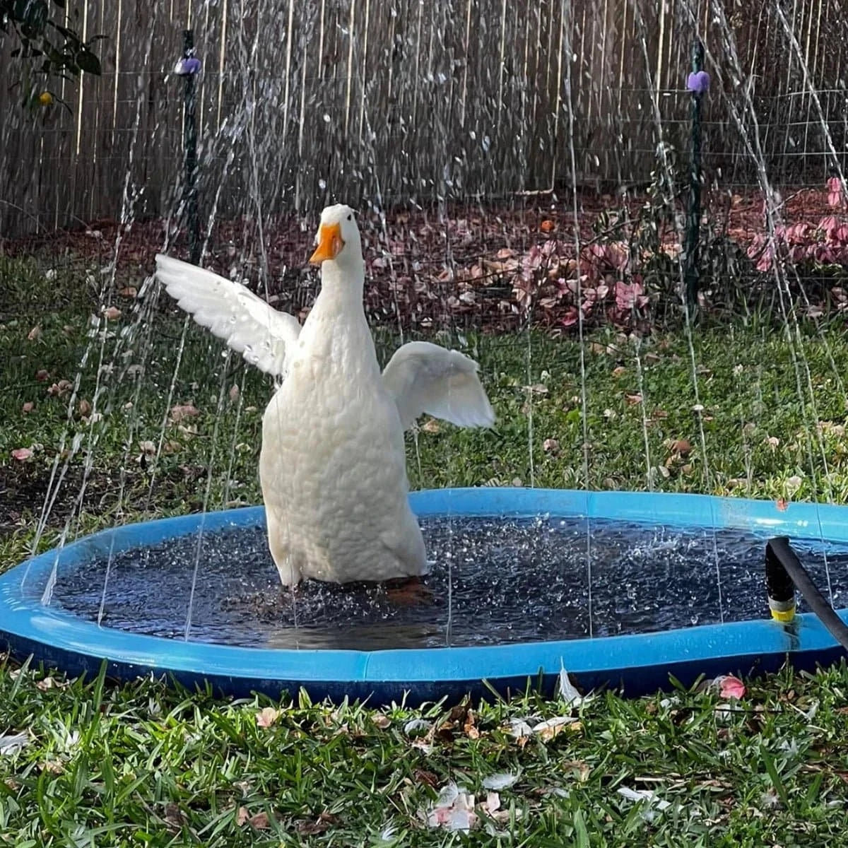 Jouet gonflable pour enfants et animaux chat et chien, offrant des jets d'eau rafraîchissants pour jouer en été.