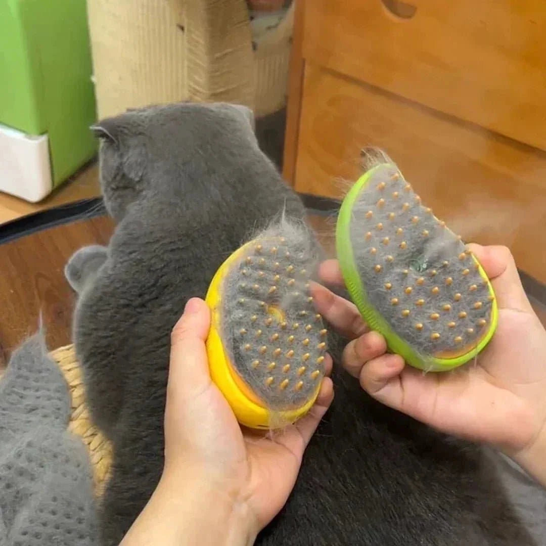 Brosse à vapeur électrique pour chat avec peigne en silicone souple, spray d'eau, et brosse démêlante pour toilettage.