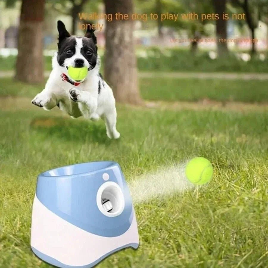 Lanceur automatique de balles pour chien, jouet interactif rechargeable par USB.