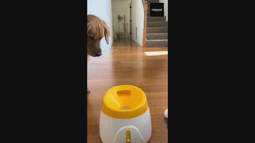 Charger la vidéo : 